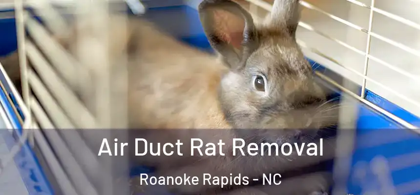  Air Duct Rat Removal Roanoke Rapids - NC