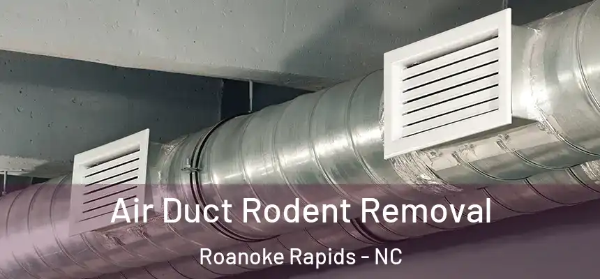  Air Duct Rodent Removal Roanoke Rapids - NC