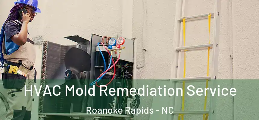  HVAC Mold Remediation Service Roanoke Rapids - NC