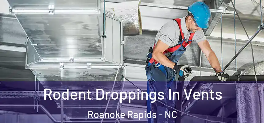  Rodent Droppings In Vents Roanoke Rapids - NC