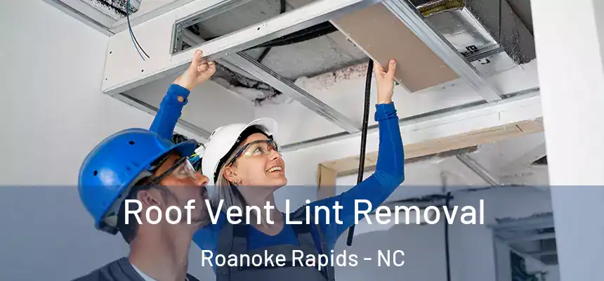  Roof Vent Lint Removal Roanoke Rapids - NC