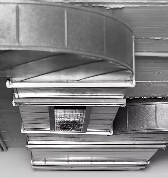 Professional Air Duct Pet Hair Removal in Roanoke Rapids, NC