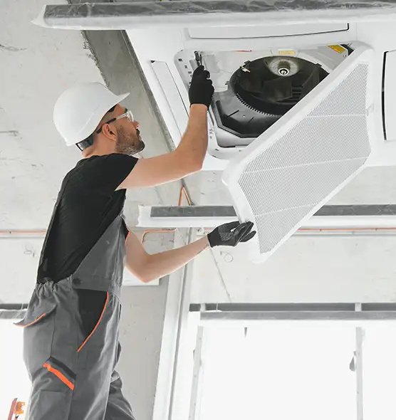 About Air Duct Rodent Removal in Roanoke Rapids, NC