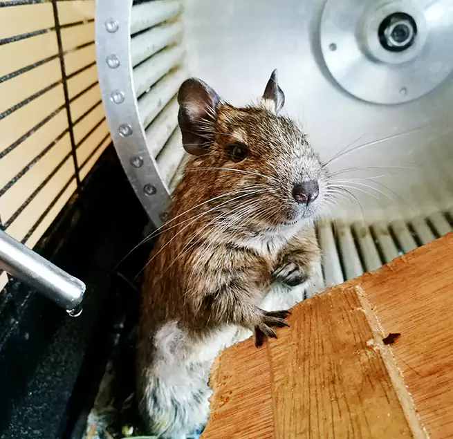 Why Homeowners & Businesses Trust Us Roanoke Rapids, NC