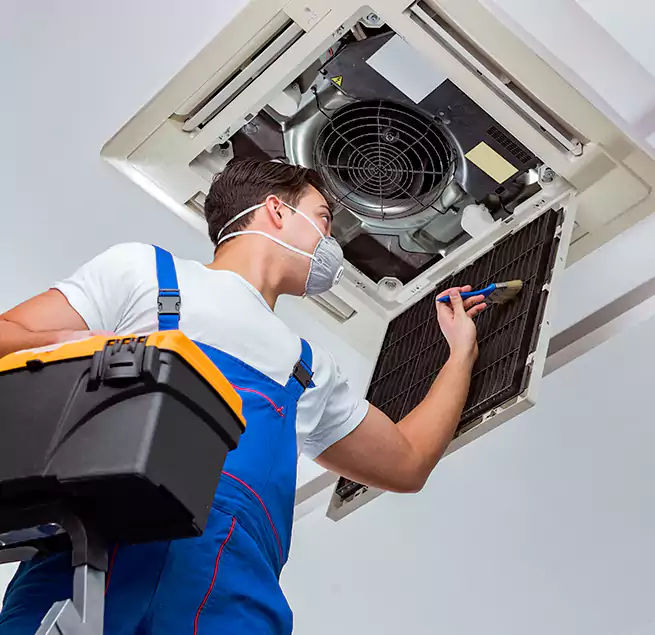 Why Homeowners & Businesses Trust Us in Roanoke Rapids, NC