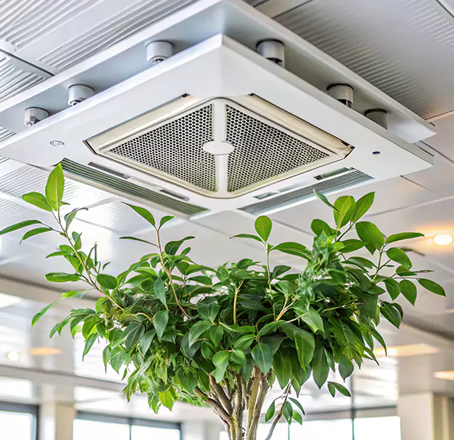 Why Homeowners & Businesses Trust Us in Roanoke Rapids, NC