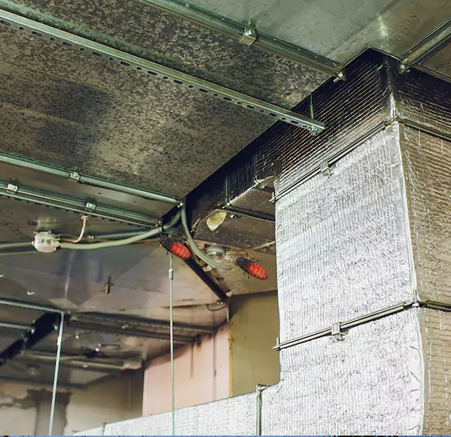 Why Homeowners & Businesses Trust Us Roanoke Rapids, NC?