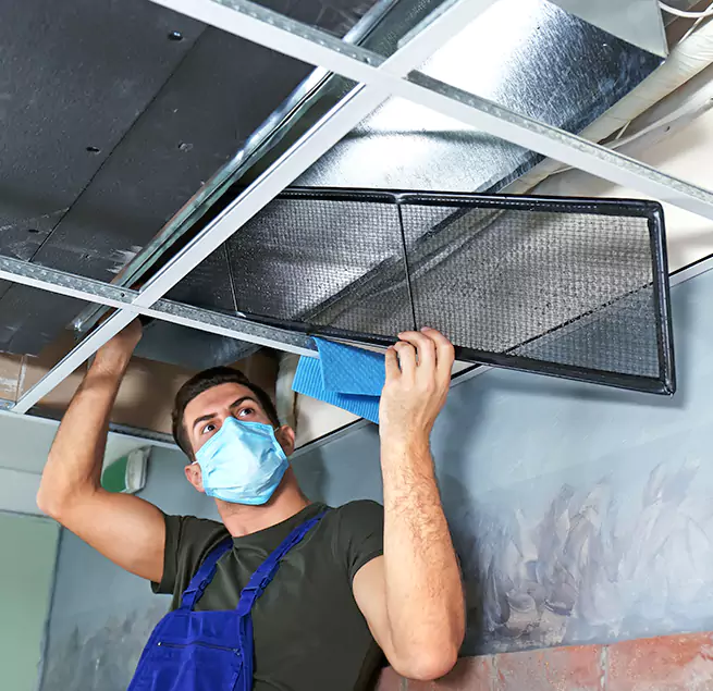 Why Homeowners & Businesses Trust Us in Roanoke Rapids, NC?